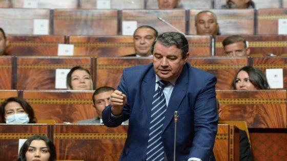 مقترح قانون للفريق الحركي بالبرلمان يروم تعديل المادة 24 من قانون تنظيمي متعلق بالمحكمة الدستورية