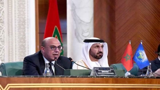 محمد ولد الرشيد:الحوار والتضامن جنوب-جنوب رافعة  لتحقيق التنمية والإستقرار
