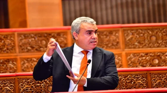 المستشار البرلماني خالد السطي يساءل وزير الشباب والثقافة عن وضعية مراكز حماية الطفولة