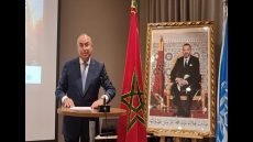 نائب رئيس مجلس النواب غيات في لقاء دولي:الاستثمار الأخضر رافعة أساسية للنمو