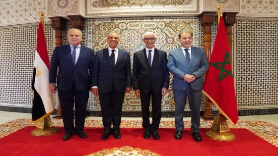 رئيس مجلس النواب راشيد الطالبي يجري مباحثات مع وزير الخارجية والهجرة وشؤون المصريين