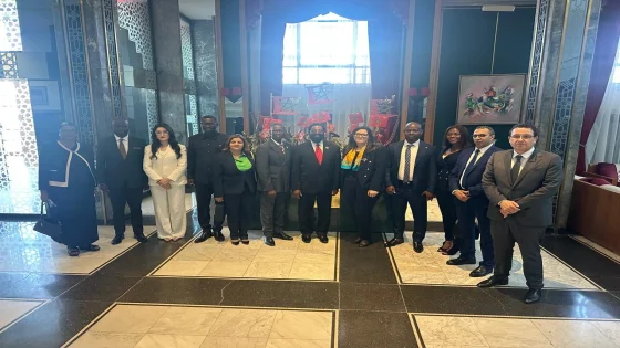 رئيسة لجنة الخارجية بمجلس النواب سلمى بنعزيز تلتقي مع رئيس لجنة الشؤون الخارجية ببرلمان غانا