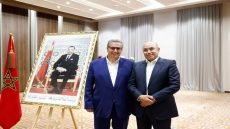 أخنوش يلحق رسميا محمد غيات نائب رئيس مجلس النواب بعضوية المكتب السياسي لحزب الحمامة