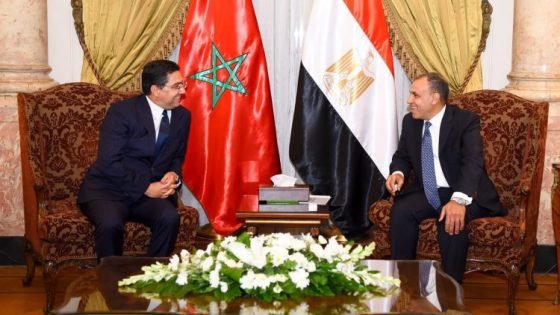 الوزير بوريطة يؤكد يجدد التزام المغرب بتوسيع آفاق التعاون مع مصر في جميع المجالات