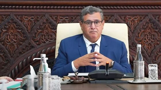 رئيس الحكومة أخنوش:سيتم توجيه الإستثمار العمومي في مشروع مالية 2026 نحو المناطق الأكثر هشاشة