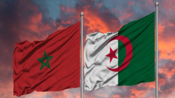 المركز المغاربي للدراسات يشيد باليد الممدودة تجاه الجزائر ويدعو للعمل على التقريب بين الشعوب