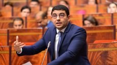 نقابة مغربية تنبه إلى الخروقات للنظام الانتخابي لممثلي المؤلفين وذوي الحقوق المجاورة