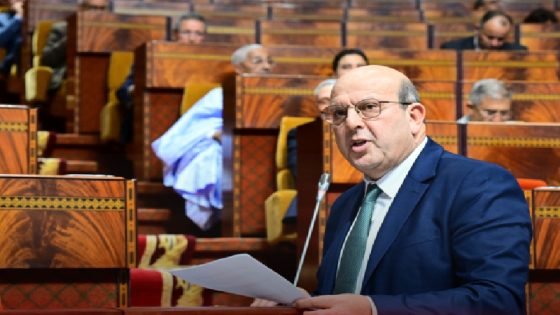 الوزير الراشيدي: تم إدماج 5000 طفل في وضعية إعاقة بالمدارس العمومية في 2025