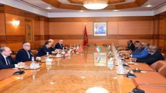 نائب رئيس مجلس المستشارين يستقبل رئيس المجلس الوطني للتنمية الاقتصادية بغينيا الاستوائية