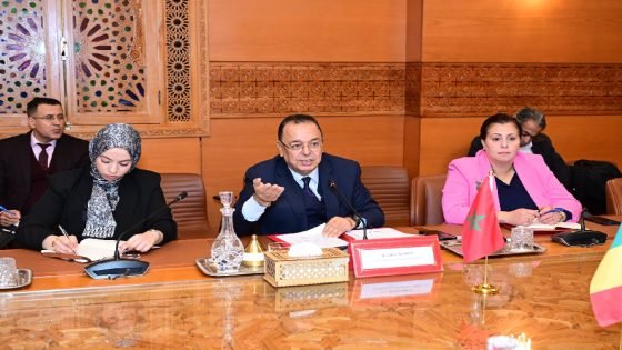 نائب رئيس مجلس المستشارين لحسن حداد يتباحث مع رئيس المجلس الأعلى للجماعات الترابية بمالي