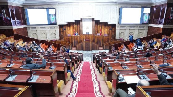 مجلس النواب يصادق على مشروع القانون المتعلق بإحداث الوكالة الوطنية لحماية الطفولة