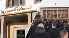 قراءة دستورية في قرار المحكمة الدستورية المتعلق بالقانون المنظم لمهنة المحاماة