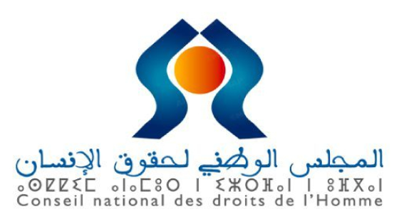 تعبئة أزيد من 3000 ملاحظ يمثلون 56 جمعية غير حكومية وطنية ودولية للإنتخابات بالمغرب