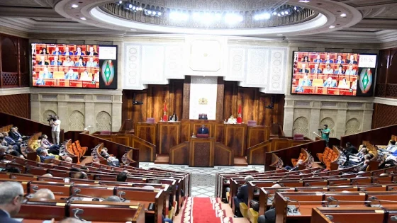 مجلس النواب يستكمل تشكيل هياكله..انتخاب 8 نواب للرئيس ورؤساء اللجان الدائمة